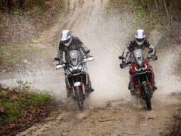 {{brizy_dc_image_alt entityId=