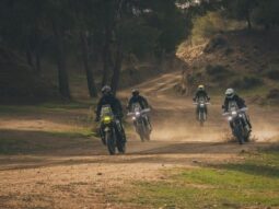 {{brizy_dc_image_alt entityId=