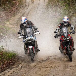 Inscripción Rookies